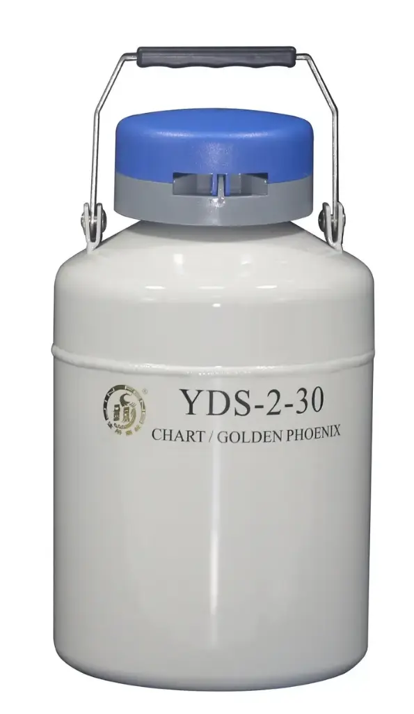 A.I. CONTAINER - 2L - YDS