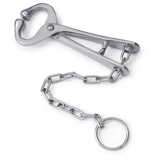 BULL LEADER - WITH CHAIN