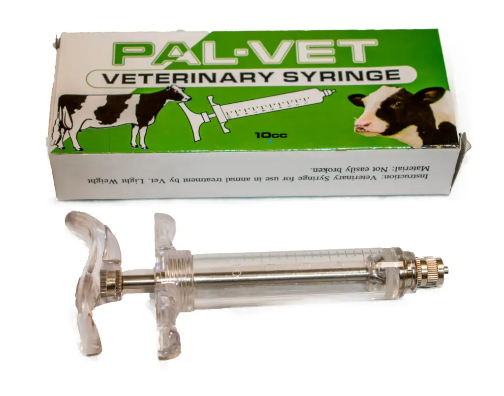 REUSABLE SYRINGE - 10ML
