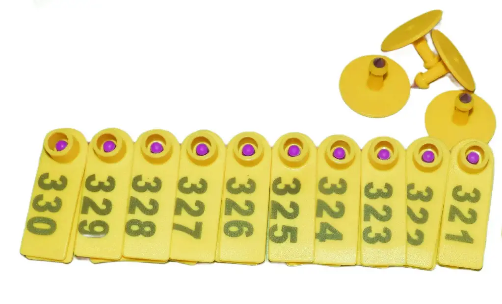 TIP TAGS - NUMBERED - YELLOW