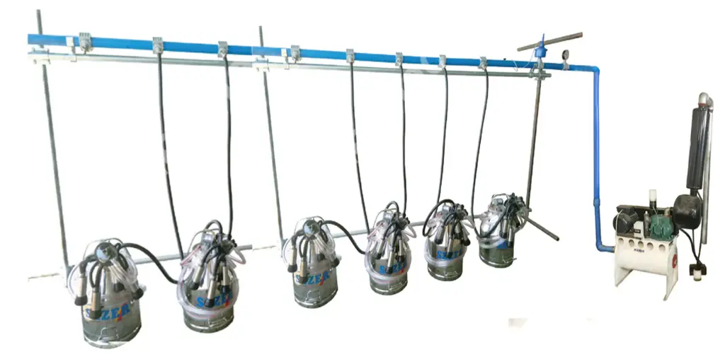 MILKING MACHINE - S/S BUCKET - 6 COWS 