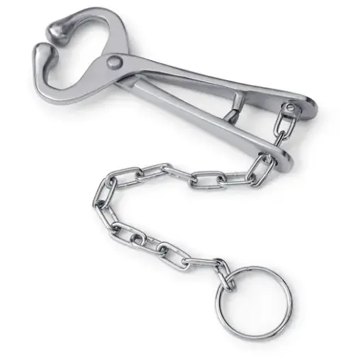 BULL LEADER - WITH CHAIN