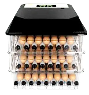 INCUBATOR DUAL POWER - 294 EGGS