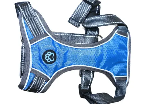 REFLECTIVE HARNESS WITH LEASH