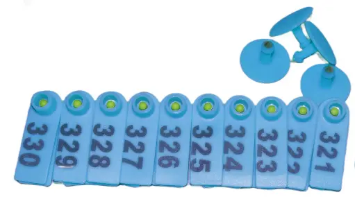 TIP TAGS - NUMBERED - BLUE