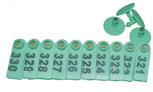 TIP TAGS - NUMBERED - GREEN