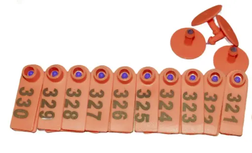TIP TAGS - NUMBERED - ORANGE