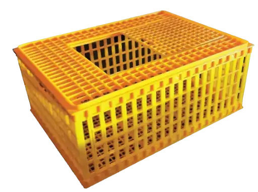 CHICK TRANSPORTING CAGE