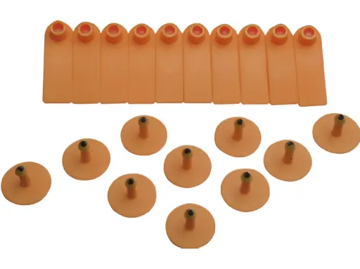 TIP TAGS - UNNUMBERED - ORANGE